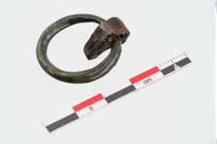 Foto von Bronzering (NHMW-PRAE-024946)